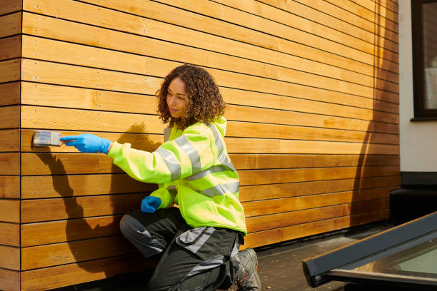 Best Stone Veneer Siding  in Auburn, ME